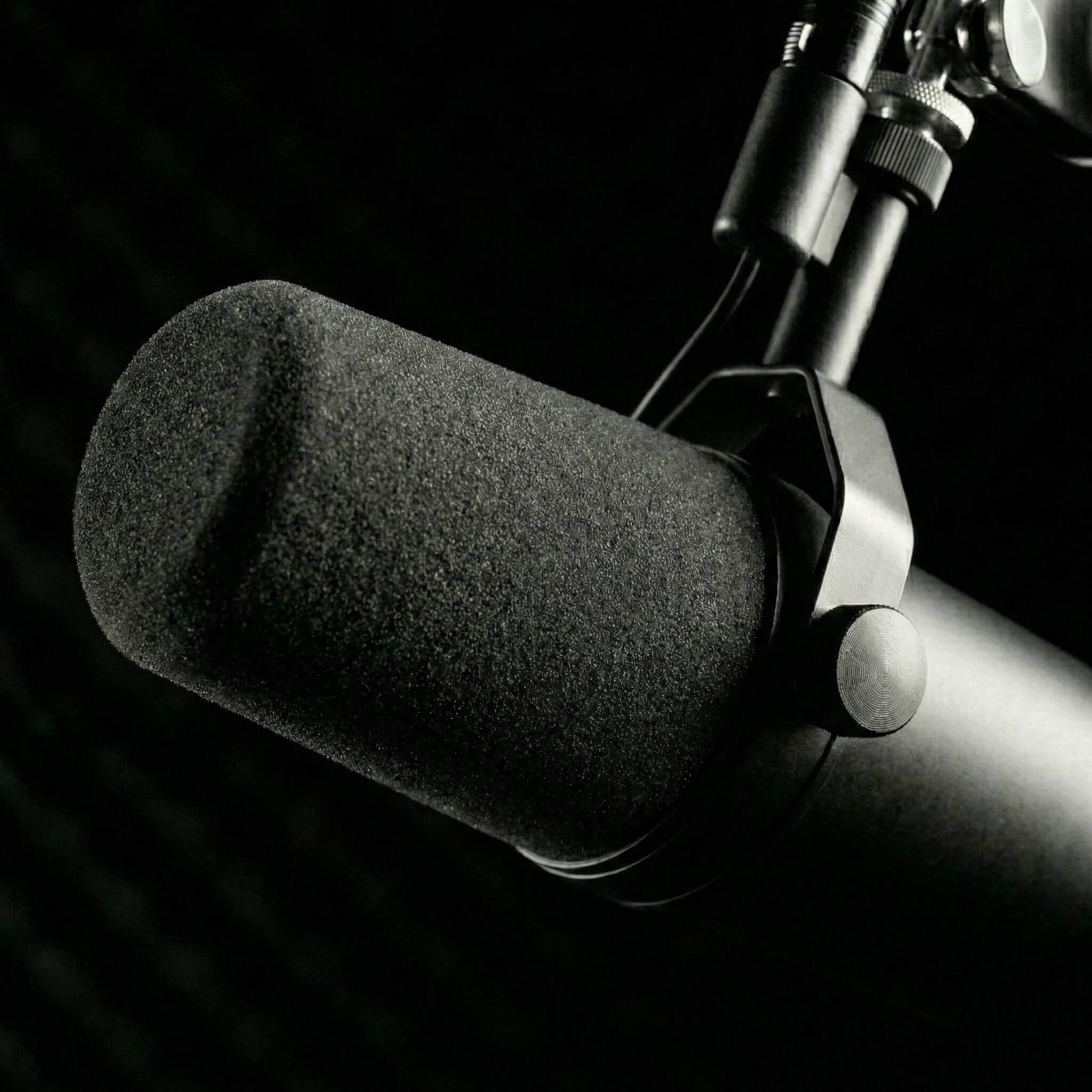 La Voix du Leader - Enregistrement audio broadcast professionnel GoPod Studio